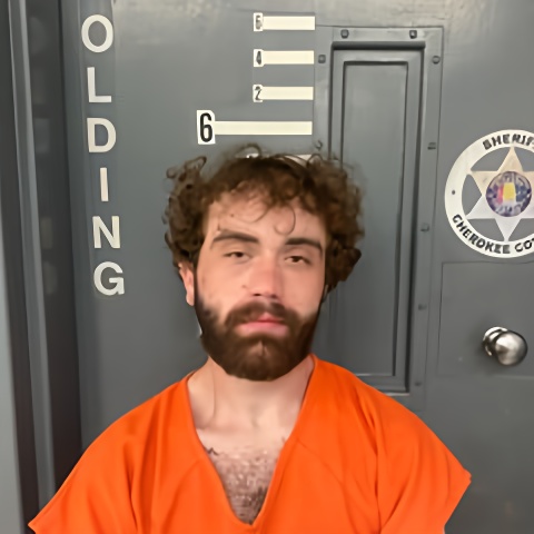Mugshot of AVERY GOBER