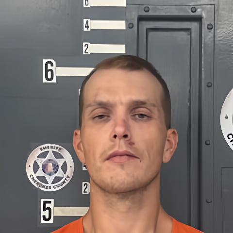 Mugshot of EVIN RODEN