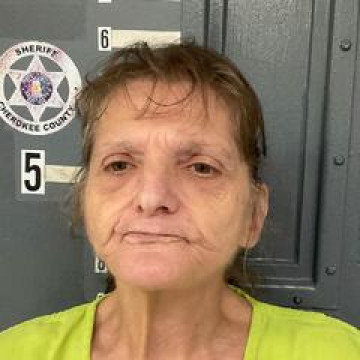 Mugshot of BRENDA BISHOP