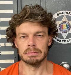 Mugshot of JIMMIE SHEPARD