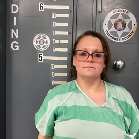 Mugshot of ASHLEY SMITH