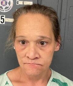 Mugshot of SANDY SPURLOCK