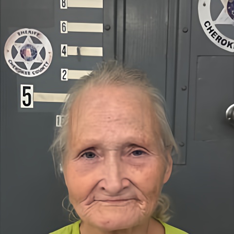 Mugshot of SANDRA SIMONS