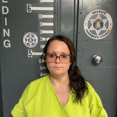 Mugshot of ASHLEY SMITH