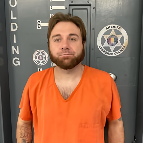 Mugshot of TRACY PENA