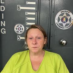 Mugshot of JESSICA JONES