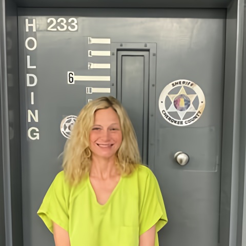 Mugshot of LORI TRAIL