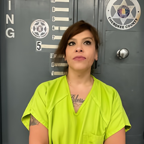 Mugshot of ALEXANDRIA PENA