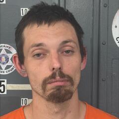 Mugshot of NICHOLAS PANNELL