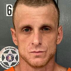 Mugshot of MICHAEL PEED