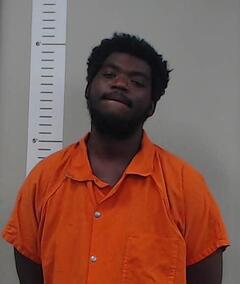 Mugshot of DA'VONTA WHITE