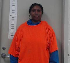 Mugshot of BRANDY CHAPPELL