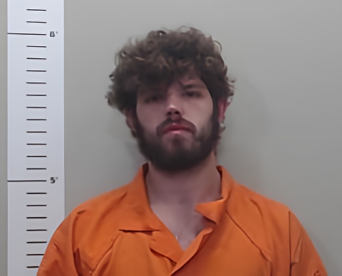 Mugshot of ROBERT COLE