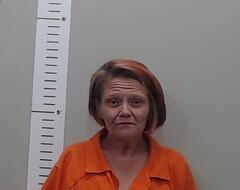 Mugshot of DIANA WHITE