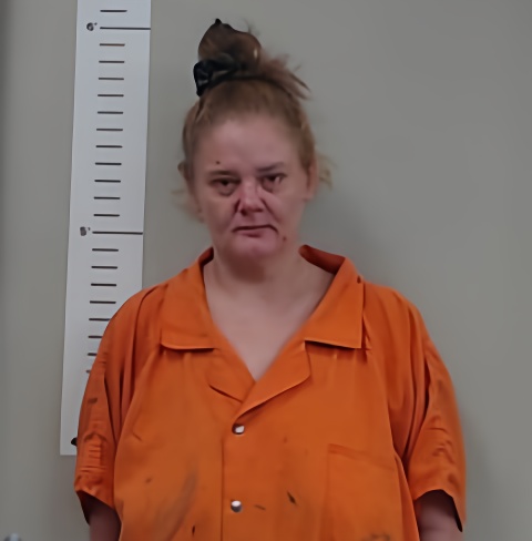 Mugshot of KIMBERLY OWENS