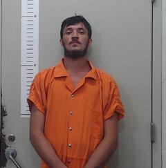Mugshot of DYLAN WEATHERS