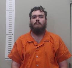 Mugshot of JOSHUA SHELLY