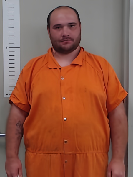 Mugshot of MICHAEL DOSS