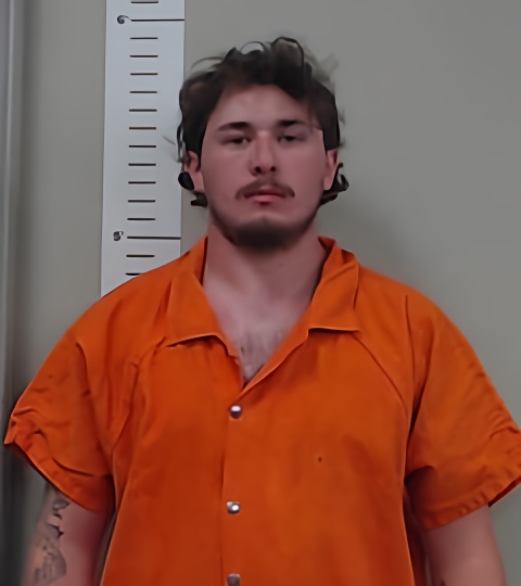 Mugshot of THOMAS LOYD