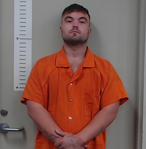 Mugshot of ANTHONY WILSON