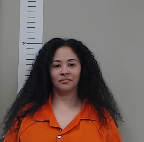 Mugshot of TIFFANY MCGEE