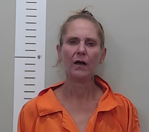 Mugshot of AMANDA TILL