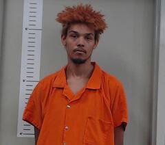 Mugshot of JOSHUA REEVES
