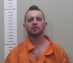 Mugshot of DARREN MIMS