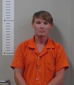 Mugshot of SHANNON LUCAS