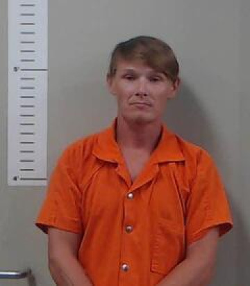 Mugshot of SHANNON LUCAS