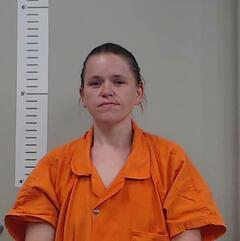 Mugshot of WHITNEY LUCAS