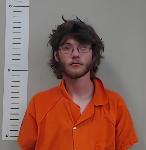 Mugshot of BRYAN ARANT
