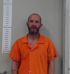 Mugshot of BRIAN MIMS