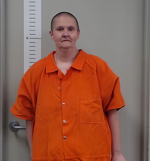 Mugshot of KELLY HOPKINS