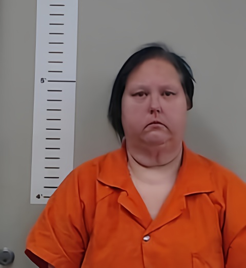 Mugshot of LISA RAMSEY