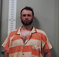 Mugshot of STETSON WILLIS