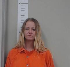 Mugshot of HEIDI SMITH