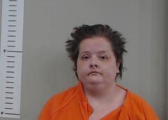 Mugshot of NINA WOLFF
