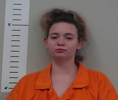 Mugshot of ANNIE JAMES