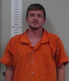 Mugshot of ROBERT JONES