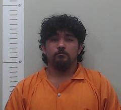Mugshot of JOSE COLUNGA