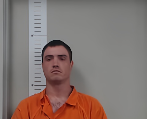 Mugshot of JESSE WILSON