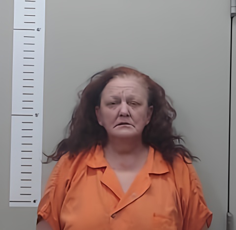 Mugshot of TONYA PATINO