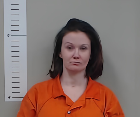 Mugshot of AMANDA COOK