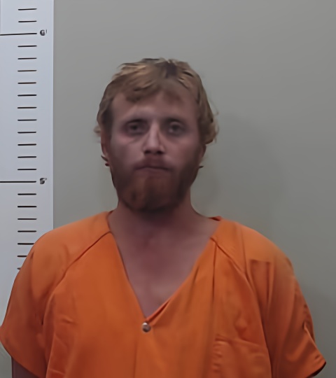 Mugshot of RUFUS HICKS