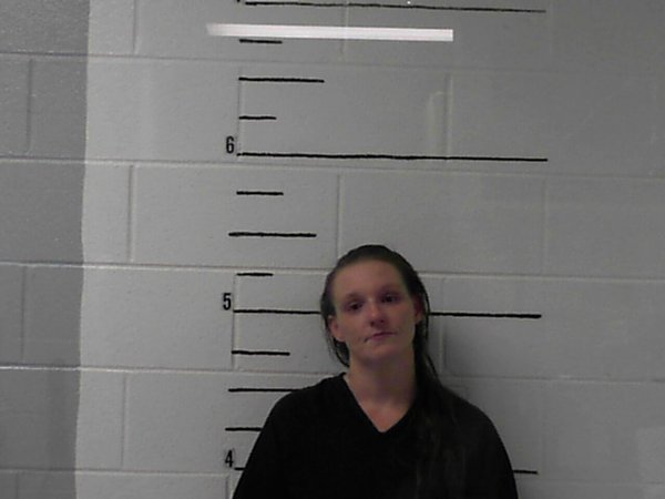 Mugshot of Melissa Ann Langley