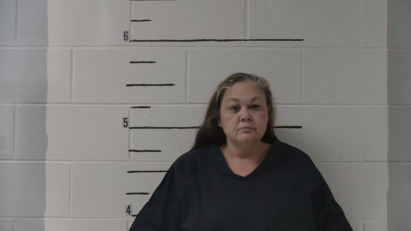 Mugshot of Brandi Lynn Sims