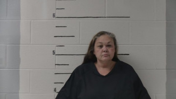 Mugshot of Brandi Lynn Sims