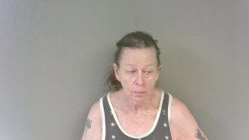 Mugshot of Dorothy Faye Carroll