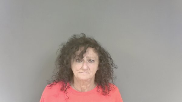 Mugshot of Brenda Deloris Alford